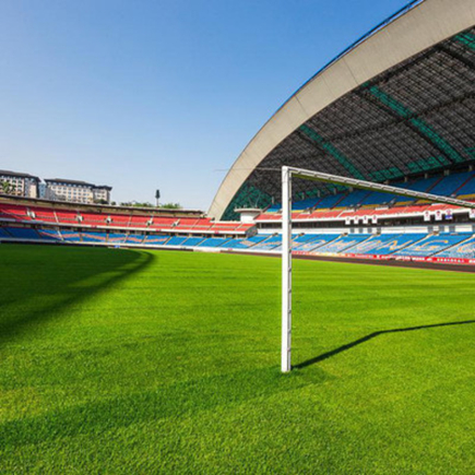 1709797753150178.jpg 人造草坪 (5).jpg