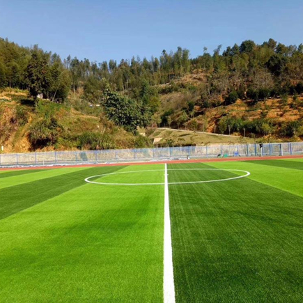 1709797818174755.jpg 人造草坪 (9).jpg