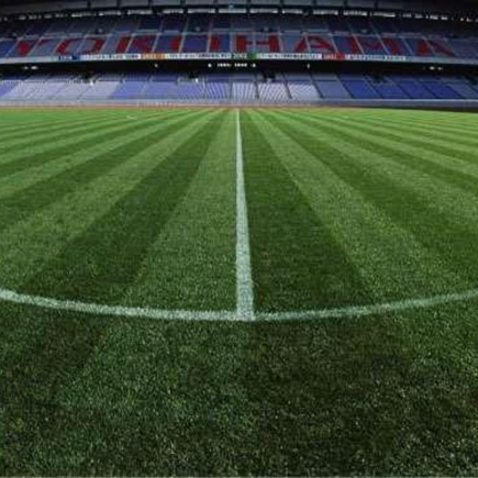 1709797834633350.jpg 人造草坪 (10).jpg