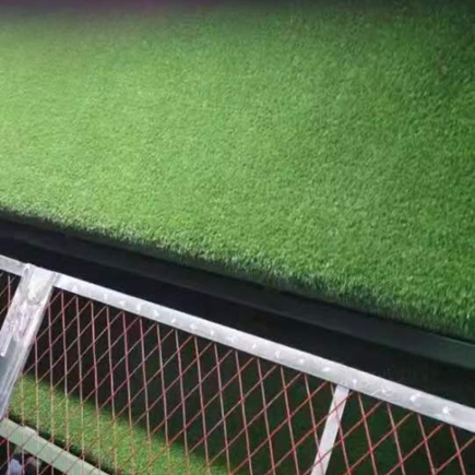 1709797915164660.jpg 人造草坪 (16).jpg