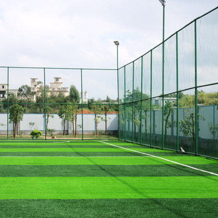 1709797967208627.jpg 人造草坪 (19).jpg