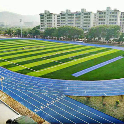 1709798004182654.jpg 人造草坪 (21).jpg