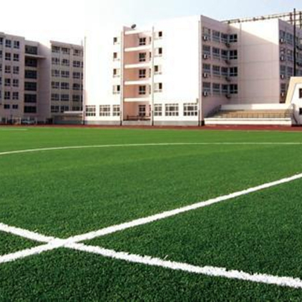 1709798066190844.jpg 人造草坪 (24).jpg