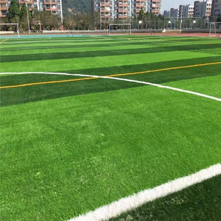 1709798341950122.jpg 人造草坪 (34).jpg